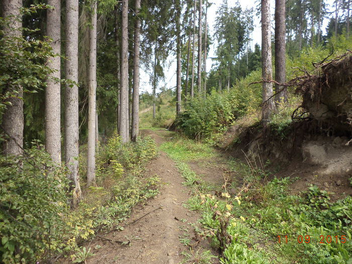 un drum in spatele strandului