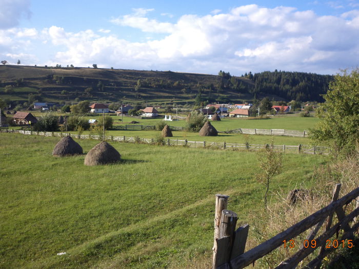 Valea Toplitei si plantatia de pin