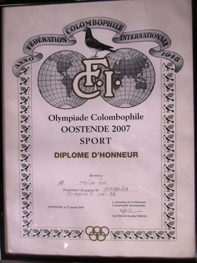 Moise Ion - Constanta - 3-Diploma olimpiada columbofila