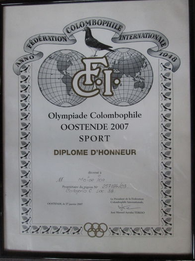 Moise Ion - Constanta - 3-Diploma olimpiada columbofila