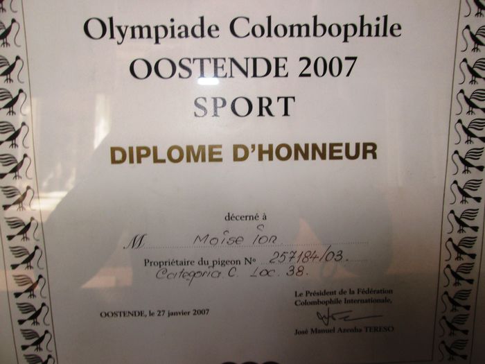 Moise Ion - Constanta - 3-Diploma olimpiada columbofila