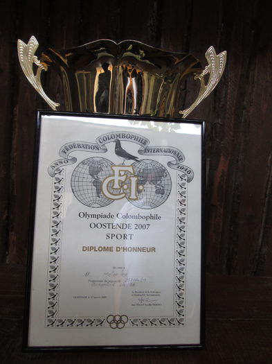 Moise Ion - Constanta - 3-Diploma olimpiada columbofila