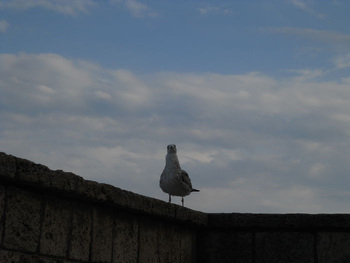  - Eforie Nord