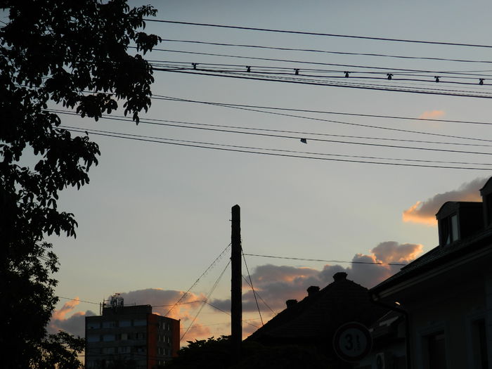 DSCN7770
