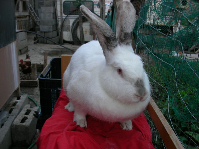 5,850 KG
