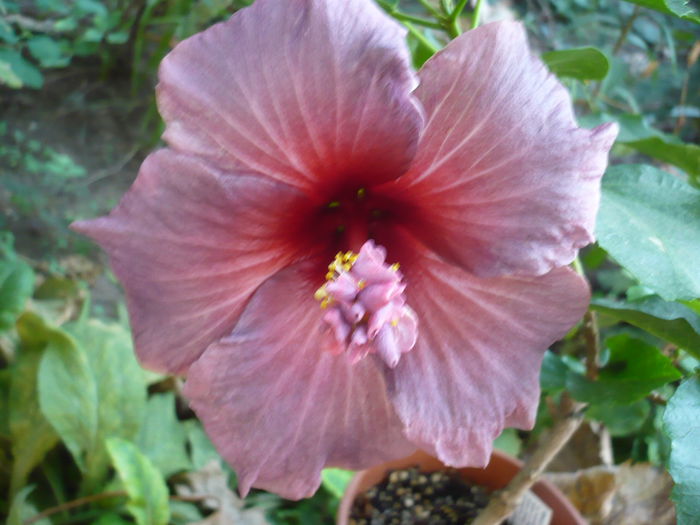 P1240049