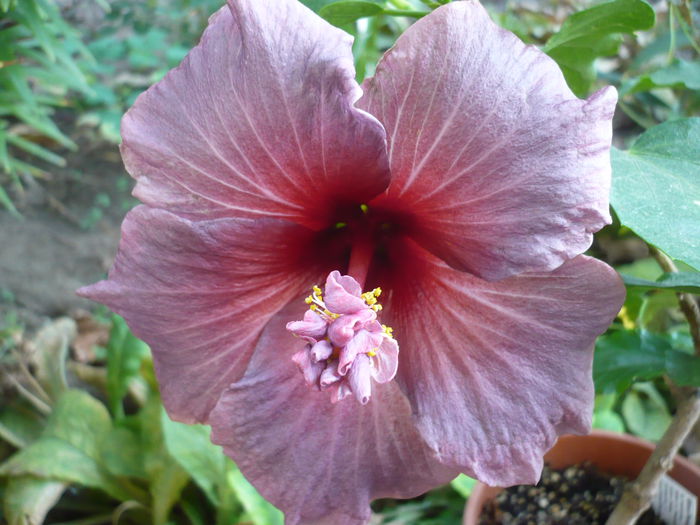 P1240051