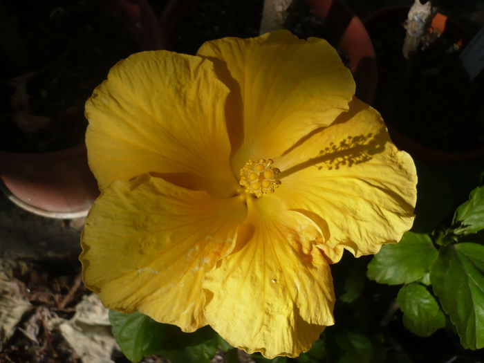 P1240054