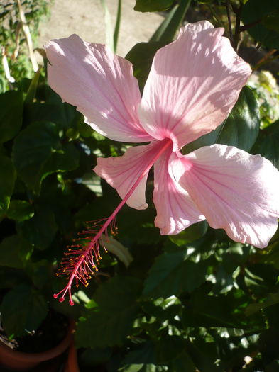 P1240055
