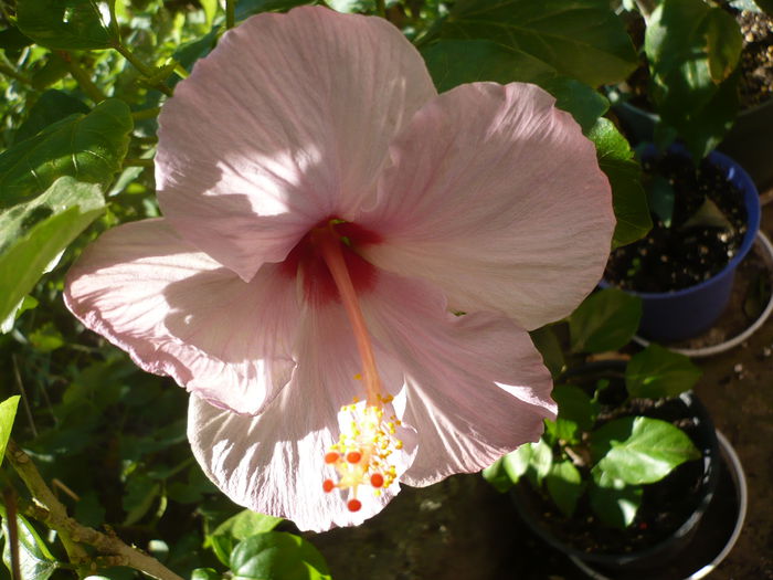 P1240061