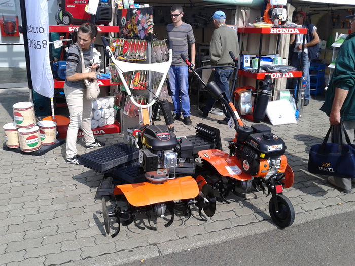 Fotografie0119 - 9--- expozitie agricola arad 12 09 2015