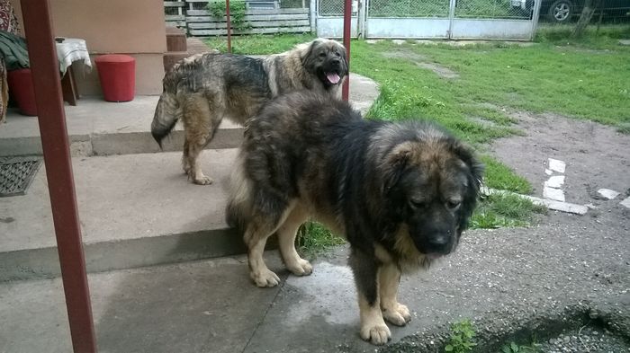 WP_20150911_18_30_46_Pro