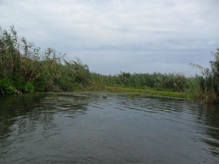 SAM_1327 - Delta Dunarii