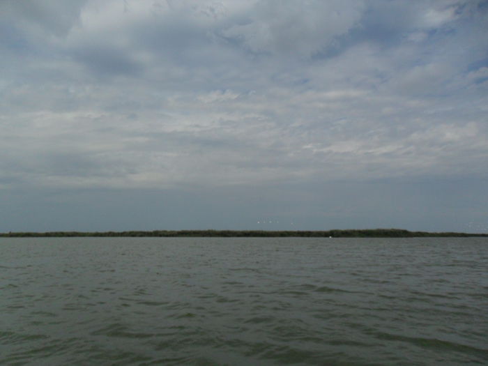 SAM_1334 - Delta Dunarii