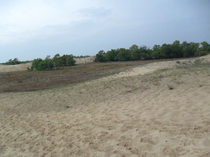 SAM_1363 - Delta Dunarii
