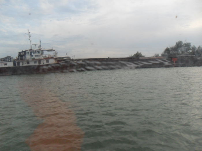 SAM_1389 - Delta Dunarii