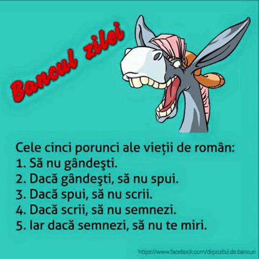 12004760_893461144035605_2307055307239217528_n