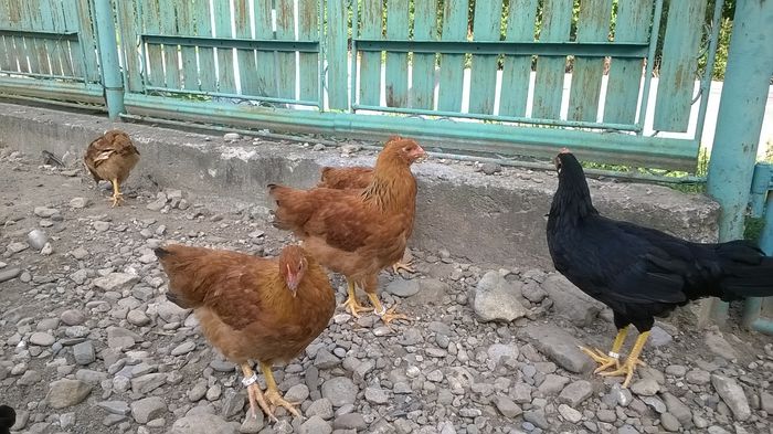 WP_20150915_15_58_32_Pro