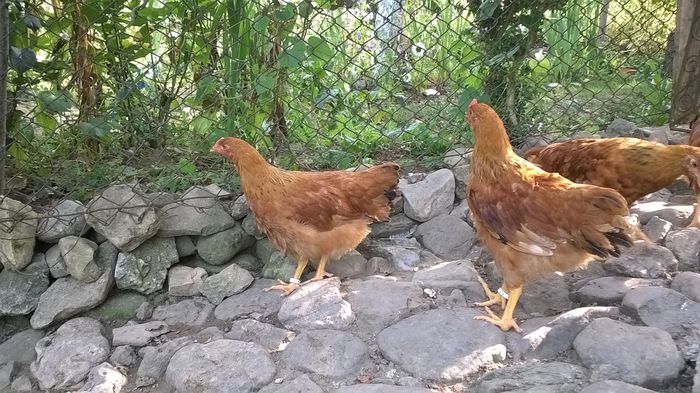 WP_20150915_16_00_24_Pro