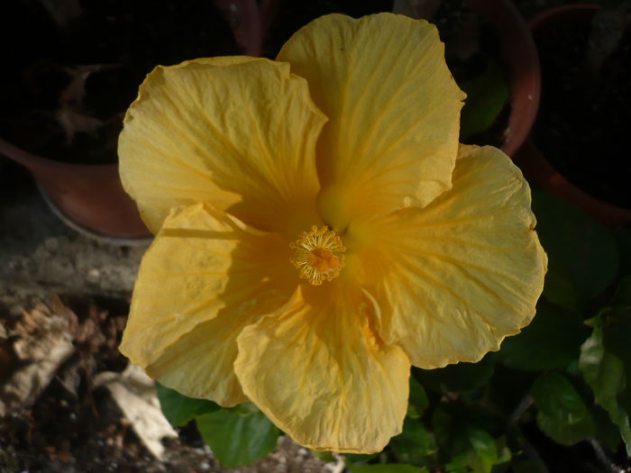 P1240075