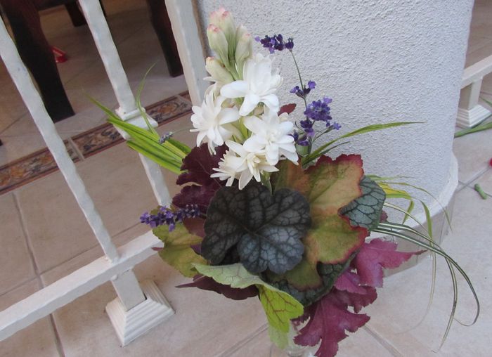 heuchera,hakonekloa,carex,levantica