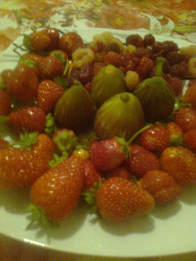 Fructe culese azi,15.09.2015 - Gradina mea