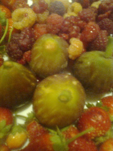 Fructe culese azi,al doilea rod la smochine,15.09.2015