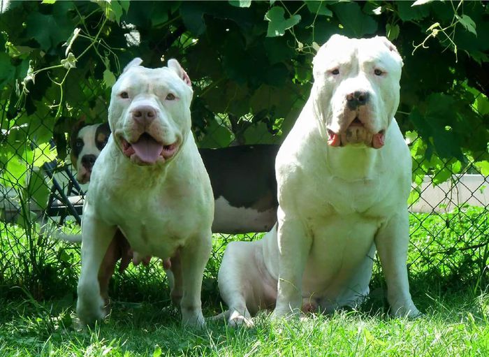 FB_IMG_1442369977710