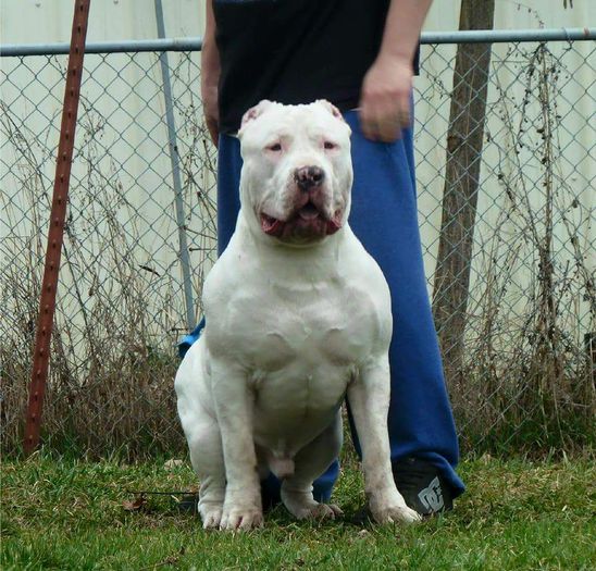 FB_IMG_1442369968187