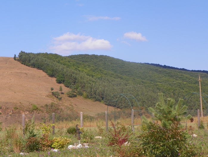 seceta mare pe deal - z-Dobarland 2015