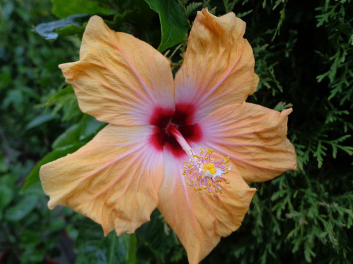 DSC00127