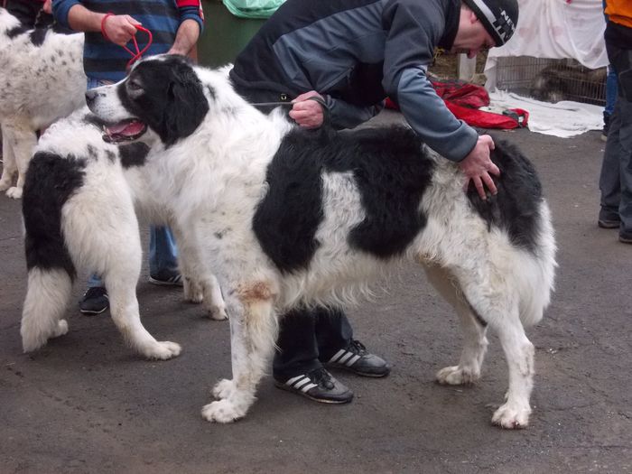 10987484_391434767704132_6854482452380040753_o