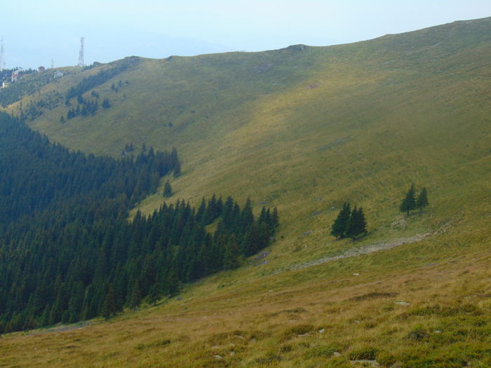 DSC09611