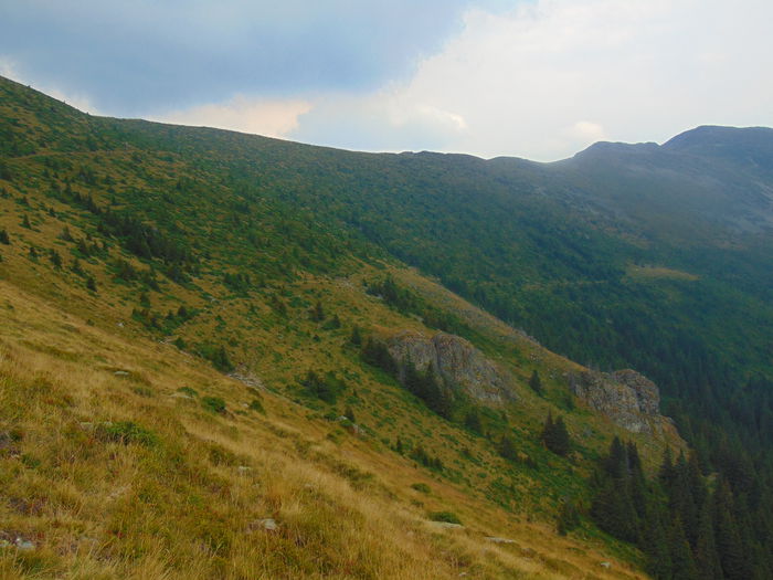 DSC09617