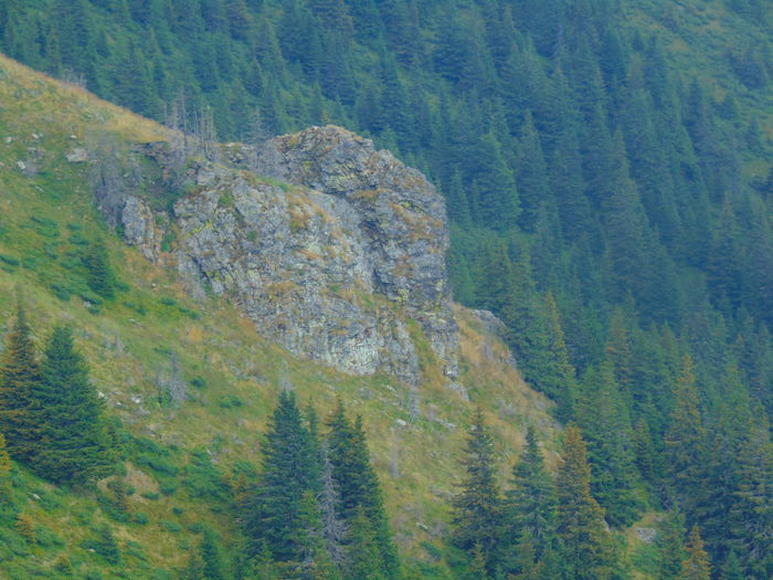 DSC09618