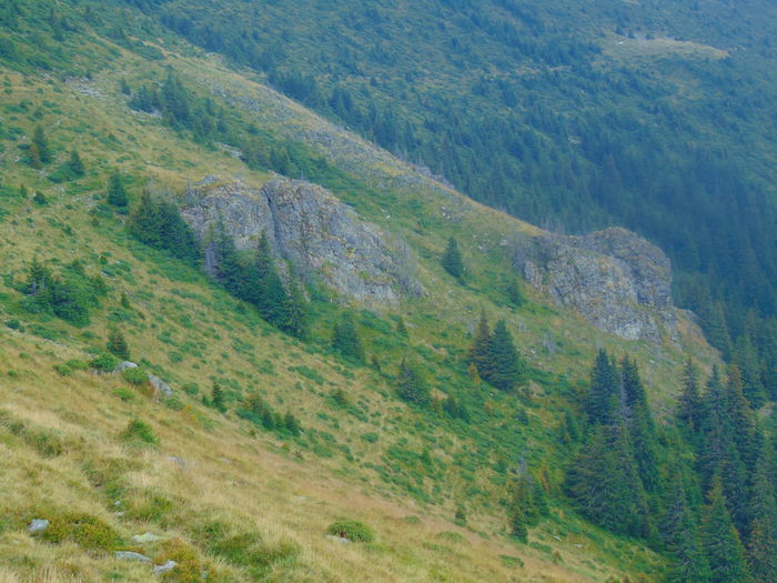 DSC09619
