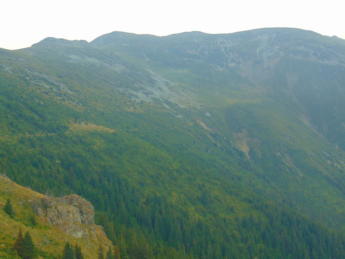 DSC09621