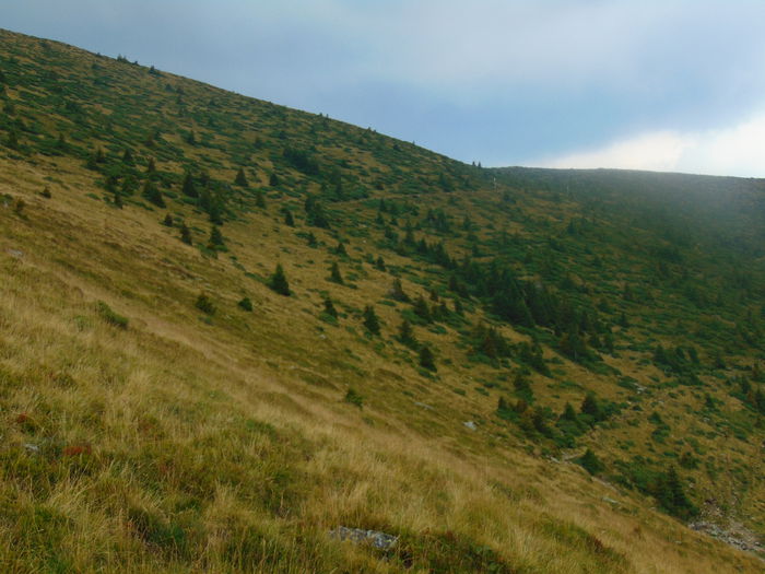 DSC09623
