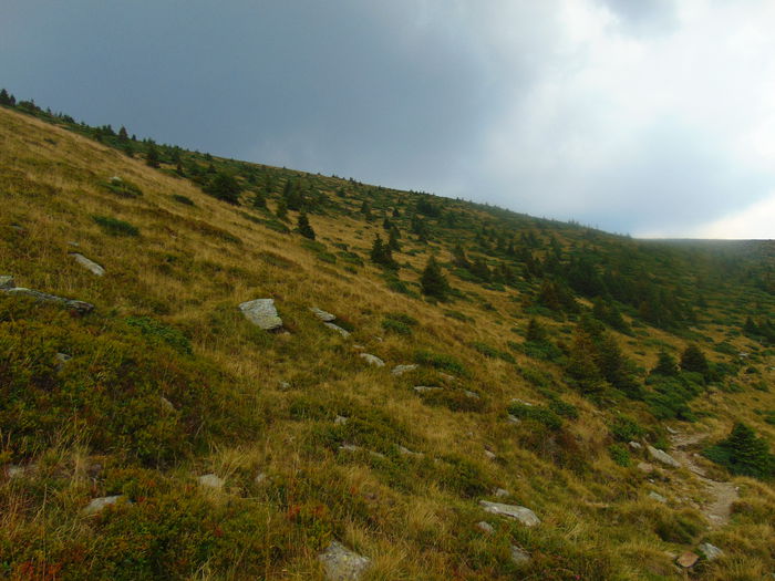 DSC09626