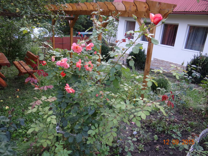 westerland cel parfumat