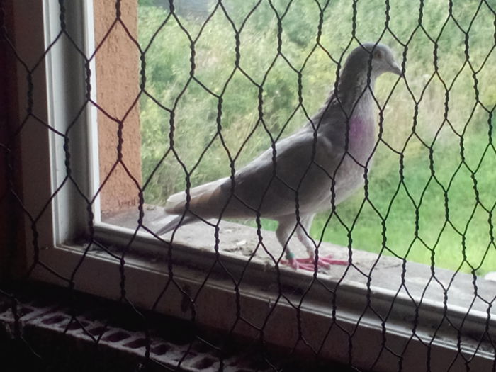 8; IMG_20150916_172954
