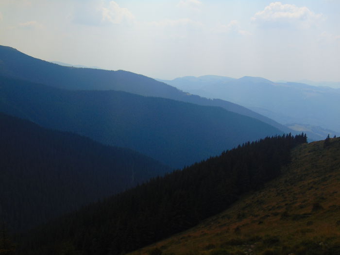 DSC09637