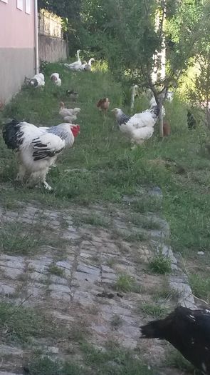 20150622_174835