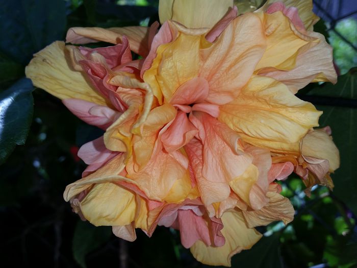 17 sept 2015