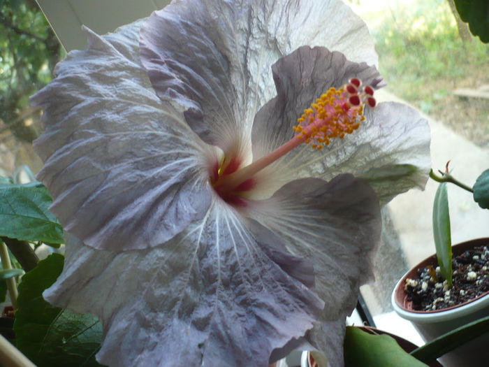 P1240109