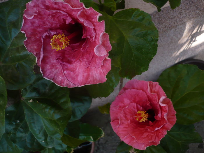 P1240111