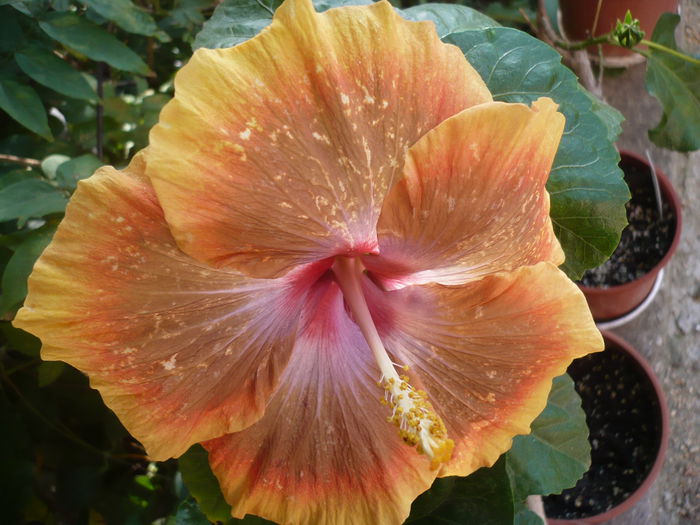 P1240114