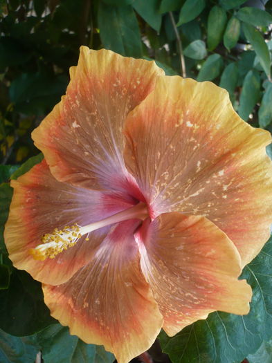 P1240116