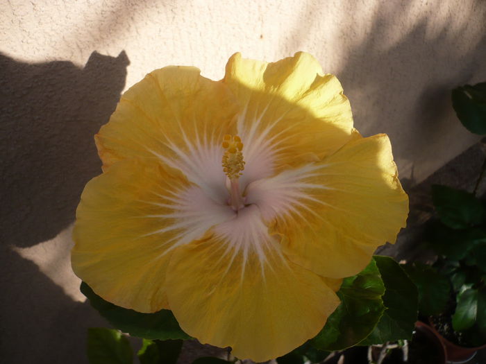 P1240119