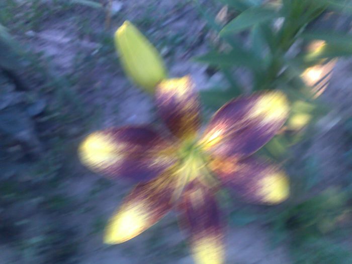 040920152624